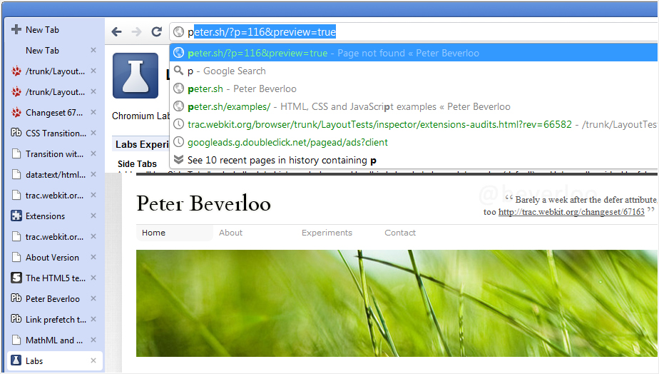 Google Chrome: Instant (Match Preview)